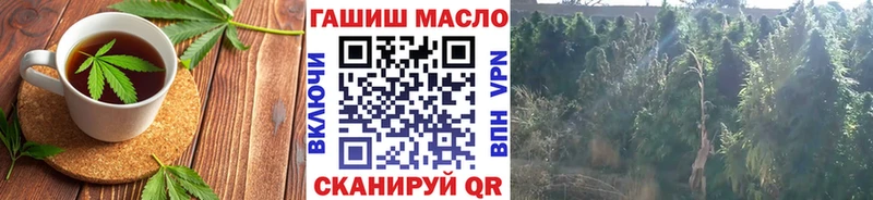 Купить закладки  Белая Холуница  Cannafood конопля 