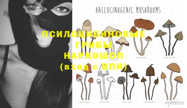 гидропоника Киренск